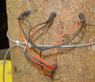 SF-L探针式植物茎流测量系统 SF-L探针式植物茎流测量系统