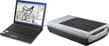 QT-RWC植物根系分析系统 QT-RWC植物根系分析系统