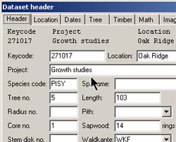 LINTAB树木年轮分析仪(高分辨率版) LINTAB树木年轮分析仪(高分辨率版)