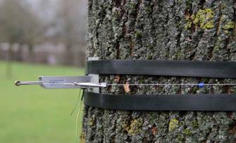 DC3树干周长生长变化传感器 DC3树干周长生长变化传感器