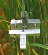 DD-S茎干直径生长变化传感器 DD-S茎干直径生长变化传感器