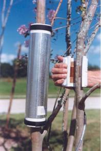 Dynagage包裹式植物茎流传感器 Dynagage包裹式植物茎流传感器