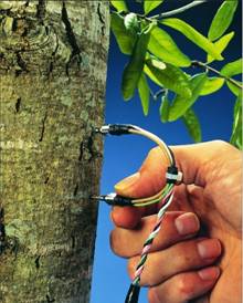 TDP探针式植物茎流传感器 TDP探针式植物茎流传感器