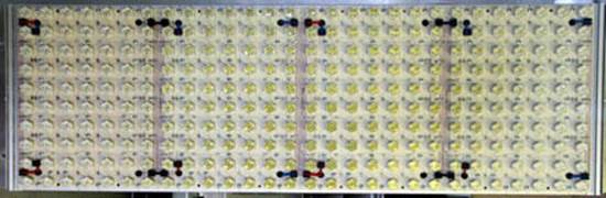 LED Fyto-Panels灯光板 LED Fyto-Panels灯光板