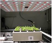 植被分析显示系统 植被分析显示系统