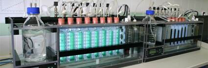 MC 1000多培养仪 MC 1000多培养仪