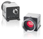 LoliTrack动物行为分析系统 LoliTrack动物行为分析系统