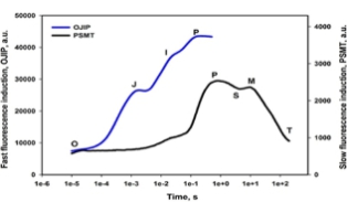 Handy PEA植物效率分析仪 Handy PEA植物效率分析仪