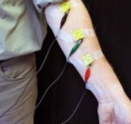 HE1LP人体生理学研究系统 HE1LP人体生理学研究系统