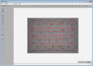 动物行为分析系统
