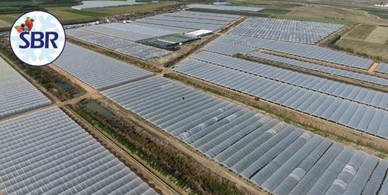 WET-2土壤水分温度电导率速测仪优化浆果生长条件、产量和质量 WET-2土壤水分温度电导率速测仪优化浆果生长条件、产量和质量