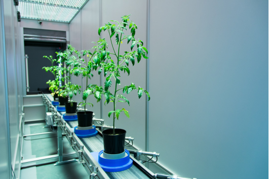 PlantScreen 模块化系统 PlantScreen 模块化系统